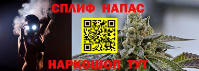 a pvp Гусев