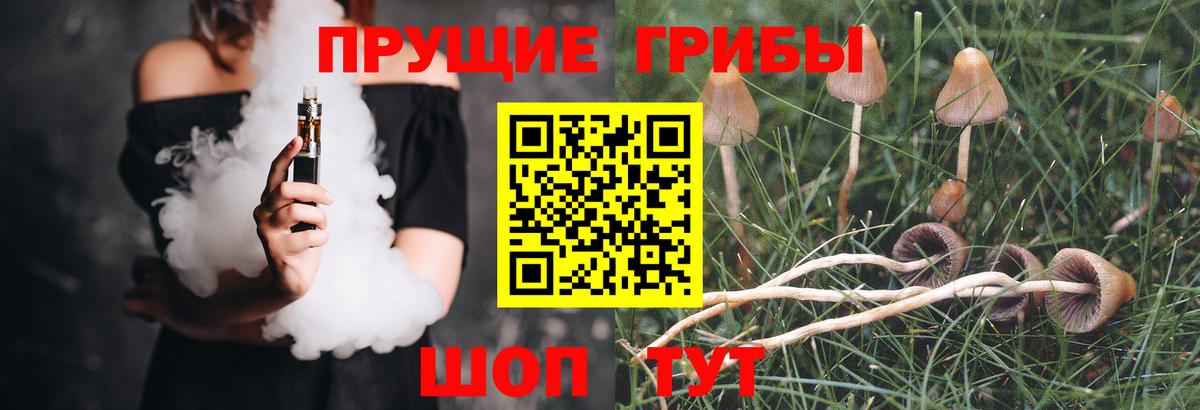 Галлюциногенные грибы Cubensis Нальчик
